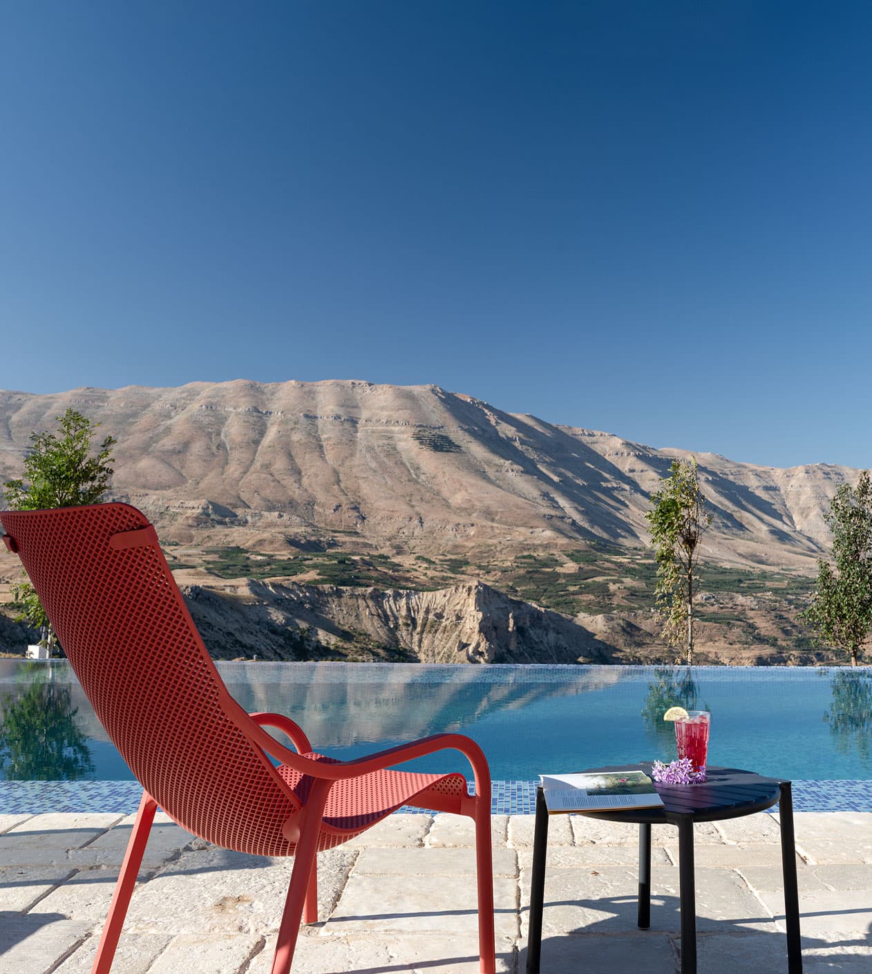 The Pool and Bar - Image 3